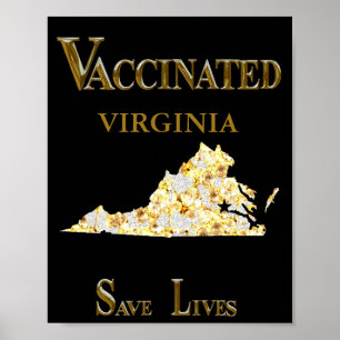 POSTER VIRGINIA 