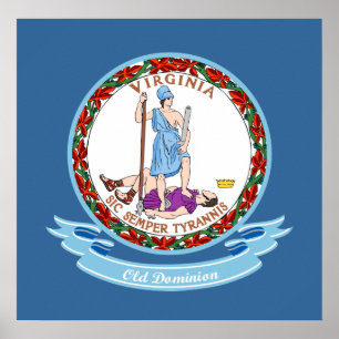 Pôster Virginia Seal