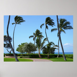 Poster Visão ceniana havaiana
