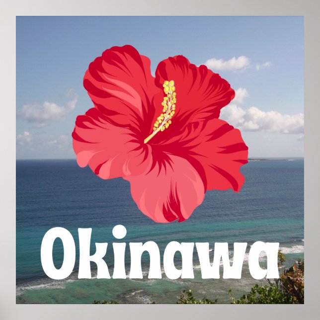 Poster Visão Censal de Okinawa e Hibiscus (Frente)