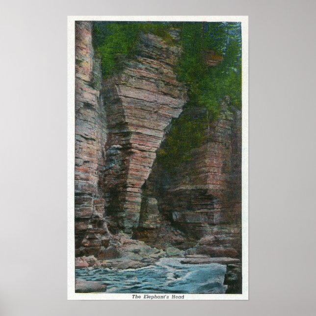 Poster Visão da cabeça do elefante (Frente)