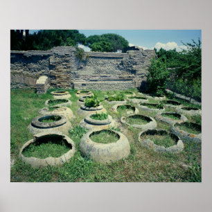 Pôster Visão das compradas