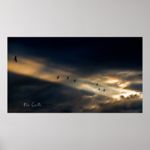 Pôster Visão de sete pássaros, Bob Orsillo