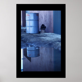 Pôster Visão dupla