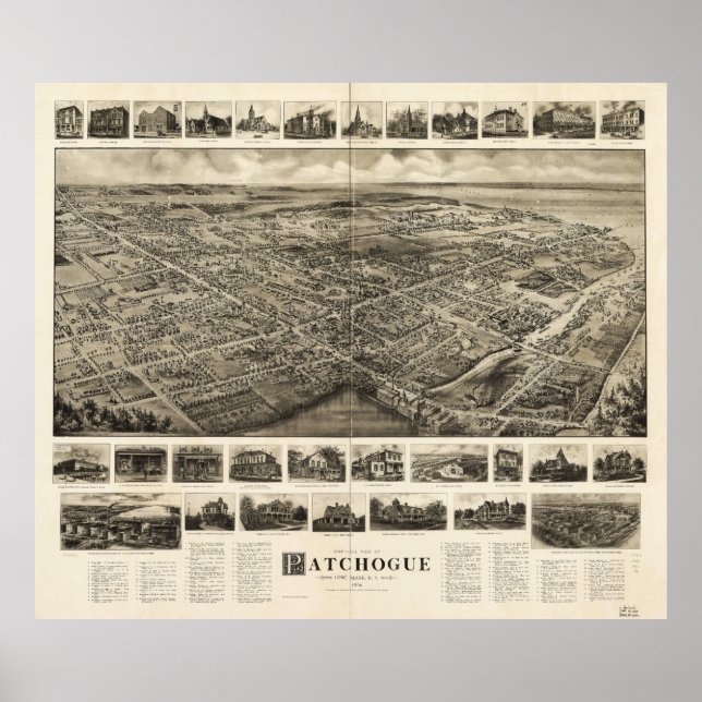 Poster Visão Geral de Pássaro de Patchogue, Nova Iorque ( (Frente)