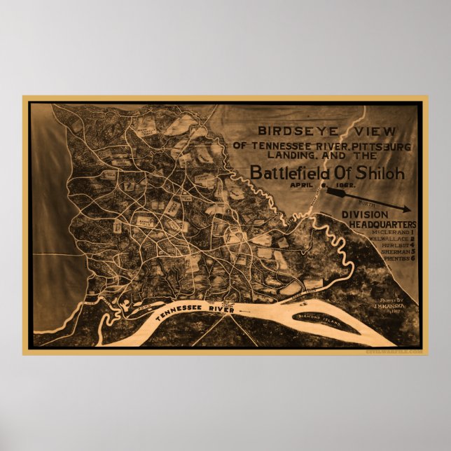 Pôster Visão Geral do Shiloh Bird (Frente)