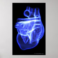 Visão luminescente do coração humano