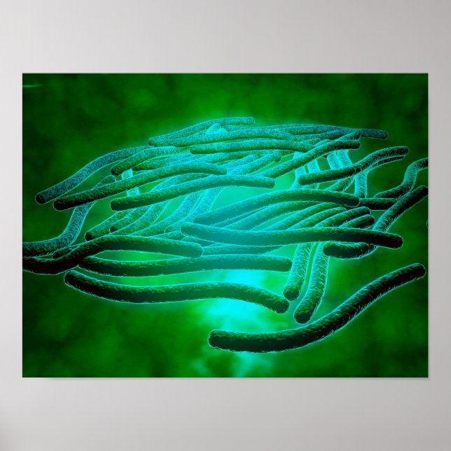 Pôster Visão Microscópica Da Legionella Pneumophila 1 (Frente)