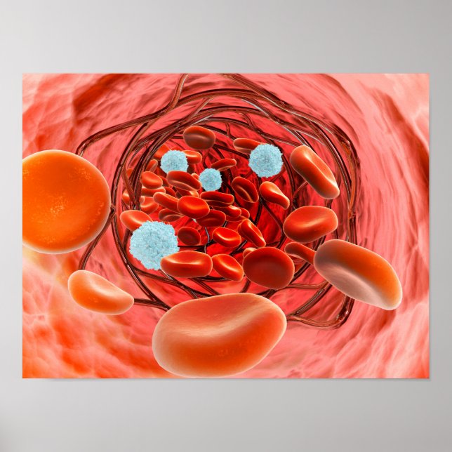 Poster Visão Microscópica De Dentro De Fluxo De Sangue E  (Frente)