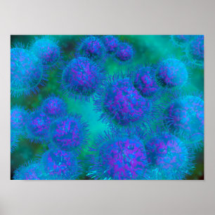 Poster Visão Microscópica De Diplococcus Bacterium