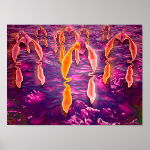 Pôster Visão Microscópica De Ligadura Vinculando A Um Rec