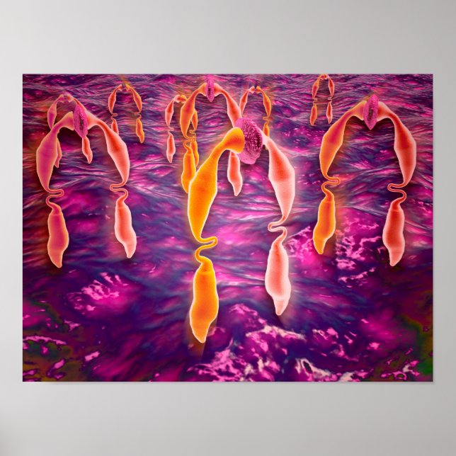 Pôster Visão Microscópica De Ligadura Vinculando A Um Rec (Frente)