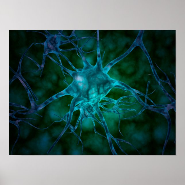 Pôster Visão Microscópica De Várias Células Nervosas 2 (Frente)