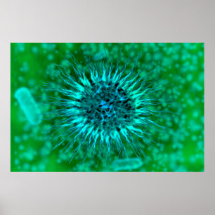 Pôster Visão Microscópica Dos Dendrimers 3