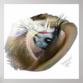 Pôster Visão nublada