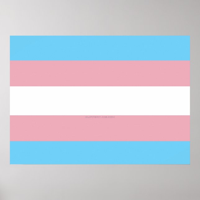 Poster Visibilidade da bandeira do orgulho transgênero da (Frente)