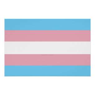 Pôster Visibilidade da bandeira do orgulho transgênero da