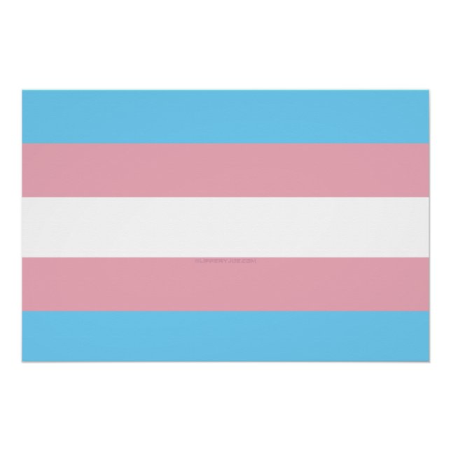 Pôster Visibilidade da bandeira do orgulho transgênero da (Frente)