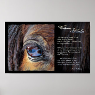 Poster Visionary Healer inspiração, © Kim McElroy