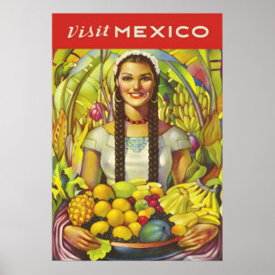 Pôster Visita México