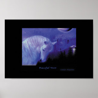 Poster Visita pacífica