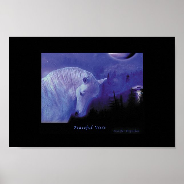 Poster Visita pacífica (Frente)