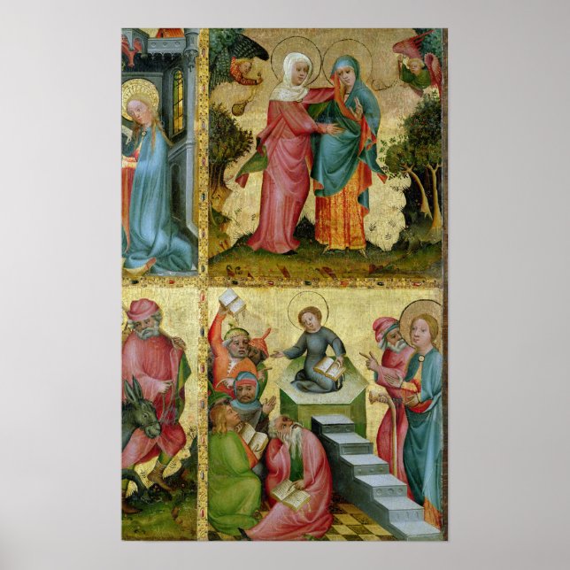 Pôster Visitação e disputa com médicos (Frente)