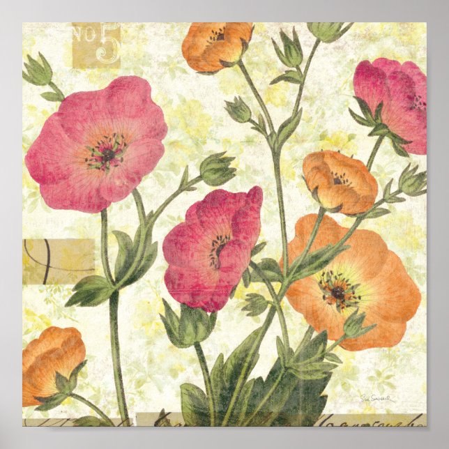 Poster Visitas Coloridas (Frente)