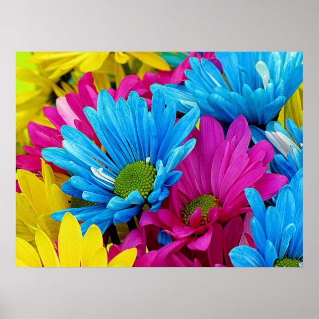 Pôster Visitas Coloridas (Frente)