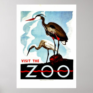 Pôster Visite o jardim zoológico, garças-reais, vintage