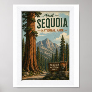Poster Visite o Parque Nacional Sequoia Viagem Vintage