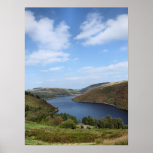 POSTER VISÕES DAS PAREDES