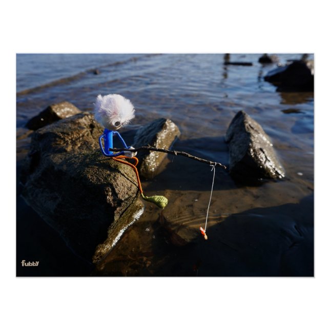 Pôster Vissende Fubby op een steen. (Frente)