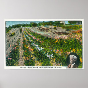 Pôster Vista aérea da fazenda experimental de Burbanks