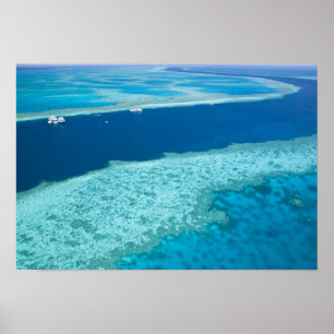 Pôster Vista aérea do Grande Barreira de Coral pela