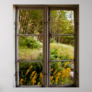 Poster Vista através da janela velha