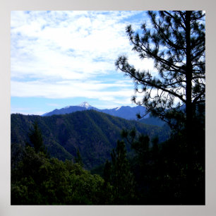 Poster Vista Bully Schup.......