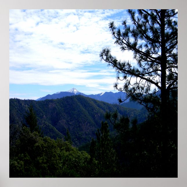 Poster Vista Bully Schup....... (Frente)