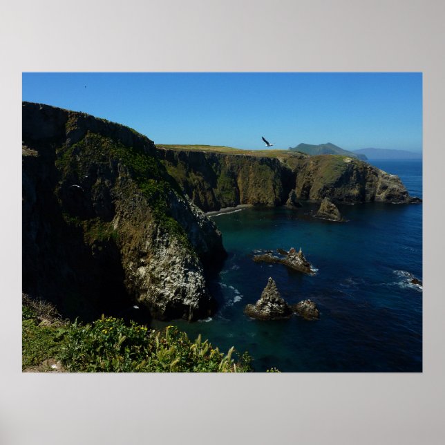 Poster Vista Cênica da Ilha Anacapa nas Ilhas do Canal (Frente)