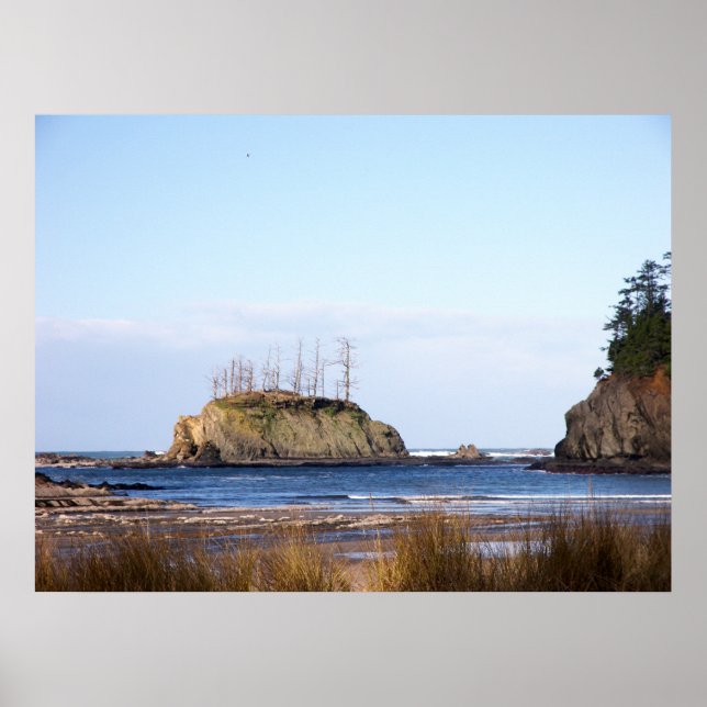 Pôster Vista Costeira (Frente)