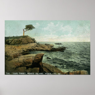 Poster Vista da ilha dos picos e da árvore dos pares