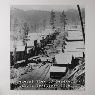 Pôster Vista da palha SD em 1876