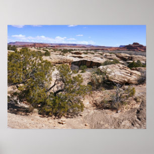 Poster Vista de Canyonlands desde a Trilha Cave Springs