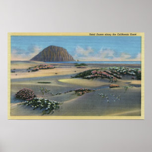Poster Vista de dunas de areia ao lado da costa