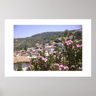 Poster Vista de Flor