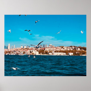 Poster Vista de Istambul com gaivotas em um dia quente en