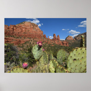 Poster Vista de montículos gêmeos Sedona, arizona
