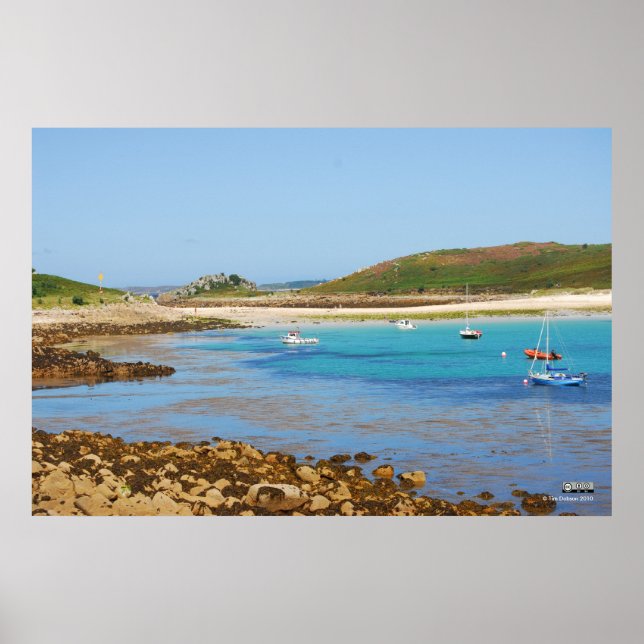 Pôster Vista de "O Bar" (Frente)