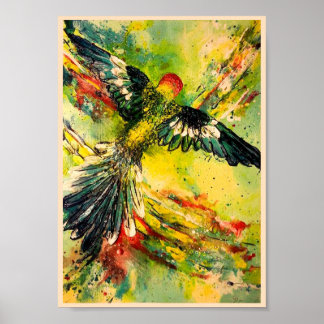 Pôster Vista de Olhos de Aves