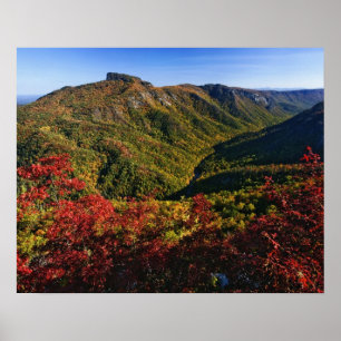 Pôster Vista de outono da Linville Gorge frequentemente c